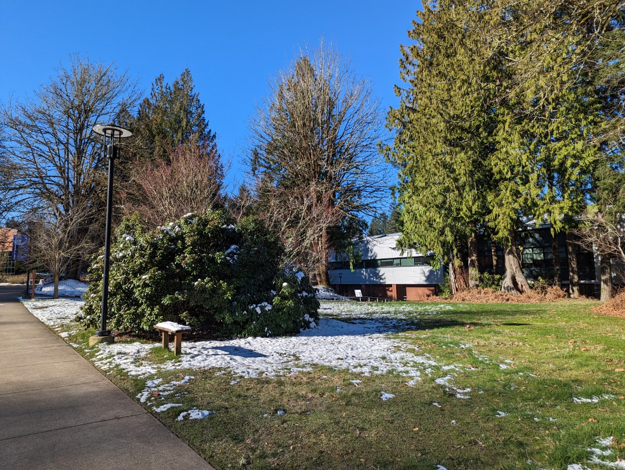 The snow melting away on campus. Taken by Emma Jones.